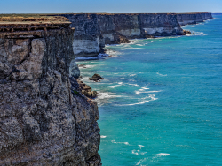 Nullarbor Palins, Western Australia