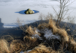 Lake shore, Sweden