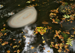 Eddy in a creek, Sweden