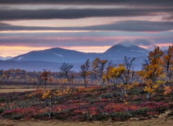 Skarsfjället, Härjedalen