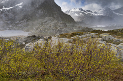 Mt Vågakallen, Lofoten,  Norway