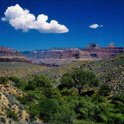 Indian Garden, Grand Canyon