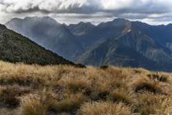 Fiordland, New Zealand