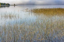 Färnebofjärden