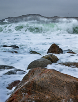 Kosterhavet