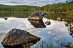 Björnlandet