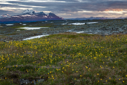 Stora Sjöfallet