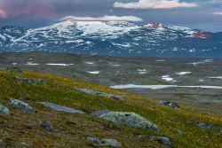 Stora Sjöfallet