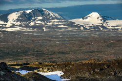 Sarek