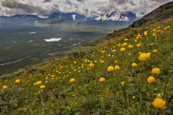 Abisko