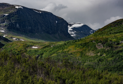 Vadvetjåkka