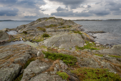 Kosterhavet