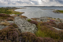 Kosterhavet