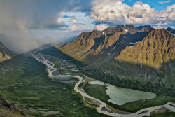 Sarek