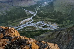 Sarek
