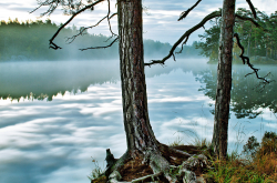 Tyresta