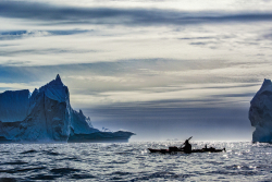 Sea kayaking, East Greenland