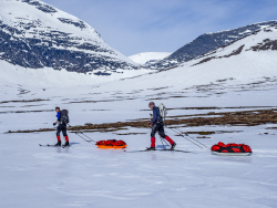 Sledge pulling, Sweden
