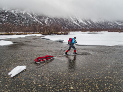 Sledge pulling in spring time, Sweden