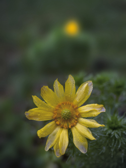 P5020924
