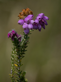 P7141205