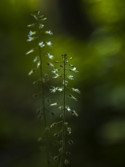 P7141240